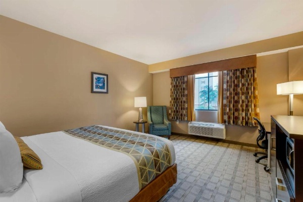 Best Western Plus Miami Executive Airport Hotel & Suites image 16
